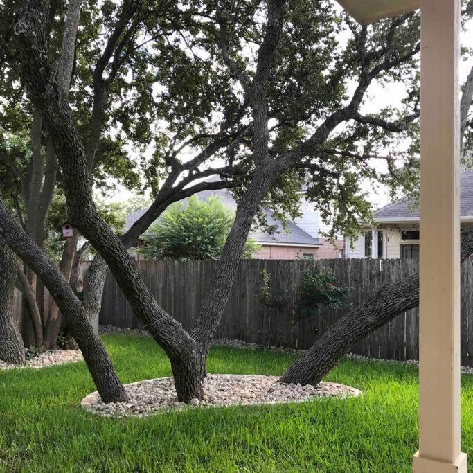 Cozy & Spacious 3 Bed Home North San Antonio - Stone Oak Area Bulverde Bagian luar foto